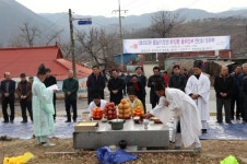 부여군 내산면, 천연기념물  주암리 은행나무  행단제 거행