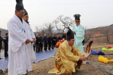 부여군 내산면, 천연기념물  주암리 은행나무  행단제 거행