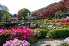 죽음으로 끝난 슬픈 사랑… 전쟁·종교박해 아픈 역사
