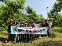 청주 현도면행정복지센터, 복숭아 농가서 농촌일손 돕기