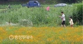대전천 꽃밭 부녀의 나들이