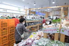 싱싱한 세종 농수산물 싱싱 장터에서 만나요