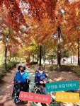 충주시,장애인건강 슬기로운 걷기대회성료