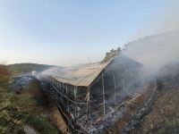 서산시 지곡면 연화리 양계장 화재로 닭 3만여 마리 폐사