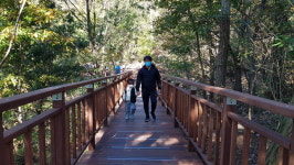 막힌 데 없이… 모두가 힐링하는 내포사색길