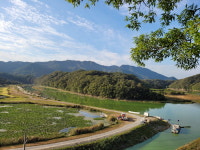 옥천 서화천생태습지 비대면 나들이 장소로 딱