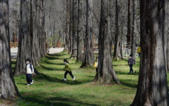 노루벌적십자생태원서 뛰노는 아이들