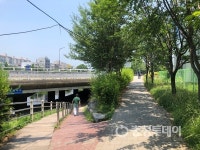 비오면 못 지나가요 홈플러스 유성점 앞 보행시설 설치 요구 결국 무산