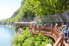 익스트림 레포츠·계곡·구경시장… 단양엔 다있다