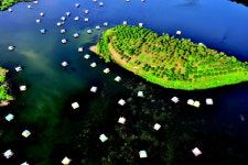 전국 강태공이 몰린다…좌대 낚시 천국 초평저수지