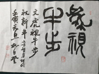 신년메시지 호시우보