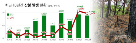충청권 산불로 해마다 축구장 50개 면적 잿더미