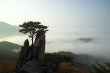 비단에 수를 놓은 듯 한 풍경, 충북 단양 금수산