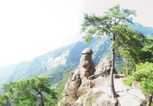 비단에 수를 놓은 듯 한 풍경, 충북 단양 금수산