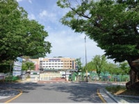 계룡 두마초교 100년 지킨 巨木 아시나요