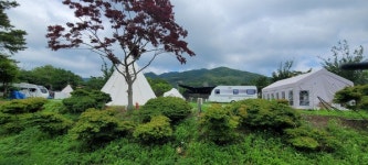 삭막한 도시 생활 속 한줄기 빛… 자연의 色 즐겨요