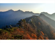 더위도 잊게 만드는 신록의 향연, 계룡산