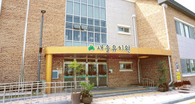 세종 새솔유치원 5월 축제로 물든다