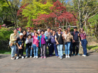 시냇물 흐르는 두계천 걸으니 힐링 그 자체