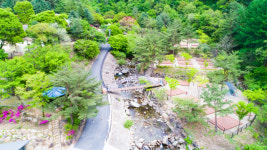 바다보다 시원한 단양 천동·다리안 계곡