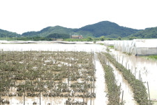 [르포] 폭우 휩쓴 청양… 폭탄 맞은 듯 수해가 낸 상처 선명