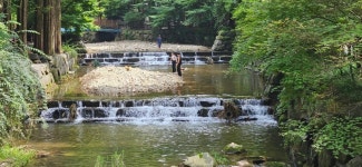 시원한 숲피서… 태산 같은 걱정 장태산에 훌훌