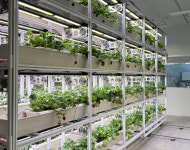 대전팜 가보니… 잿빛 건물서 익어가는 녹색꿈