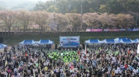 [대청호 벚꽃길 마라톤대회] 날씨도 벚꽃도 완벽… 5000명 마라토너 심장이 뛰네