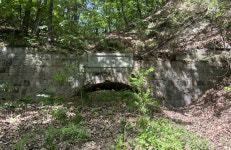 선연한 탄흔 너머 마주한 아픈 역사