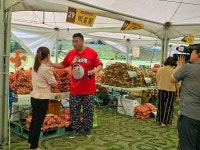 마늘하면 단양… 알싸한 맛 보러 오세요