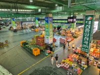 낡은 노은농수산물도매시장 현대화 공모 선정될까