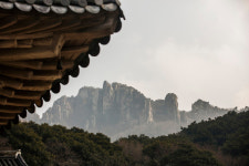 화석(化石)
