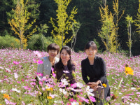 산·물·꽃이 있는 음성군 봉학골 삼색길, 관광객 사로잡다