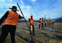 성금 모금·금융 지원… 산불 피해지역 보듬는 신협재단