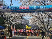 만개한 벚꽃과 함께… 2025 대청호 벚꽃길 마라톤 대회 개최