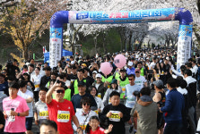 [대청호 벚꽃길 마라톤대회] 흩날리는 벚꽃비 맞으며… 3000여명 건각들 대청호 봄빛 질주