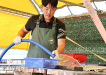 서산 최연소 어촌계장 탄생, 창리마을에 분 변화