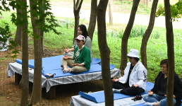 숲 속 치유의 시간