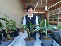 반려식물 시대, 조직배양 기술로 주목받는 이농장 농업회사