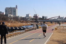 봄이 오나 봄