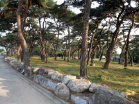 상주시 지천동 그린마을 Green마을 평가 장려상