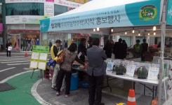 고령 `탑과채 무농약 수박` 대구서 시식 홍보행사