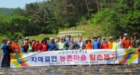 일손 도우고 산나물도 뜯고 자매결연 주민간 화합 다져
