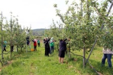 포항 송라면사무소 영농지원 봉사