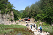 울진 `금강송숲길 개방 71명 탐방객 맞아