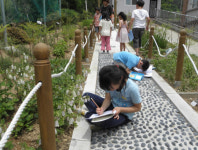 군위 고매초교, 들꽃 이름 알아 맞추기 대회