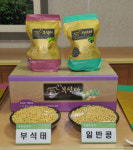 영주 `부석태 브랜드 콩 추진