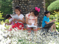 우리학교는 지금 야생화 천국