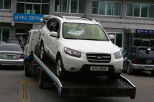 막나가는 영주시의원들