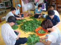 경북도 보건정책과 봉사단, 칠곡서 봉사활동